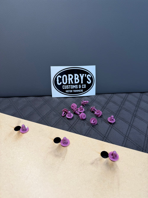 70 SERIES LANDCRUISER DOOR TRIM CLIPS (FULL SET)